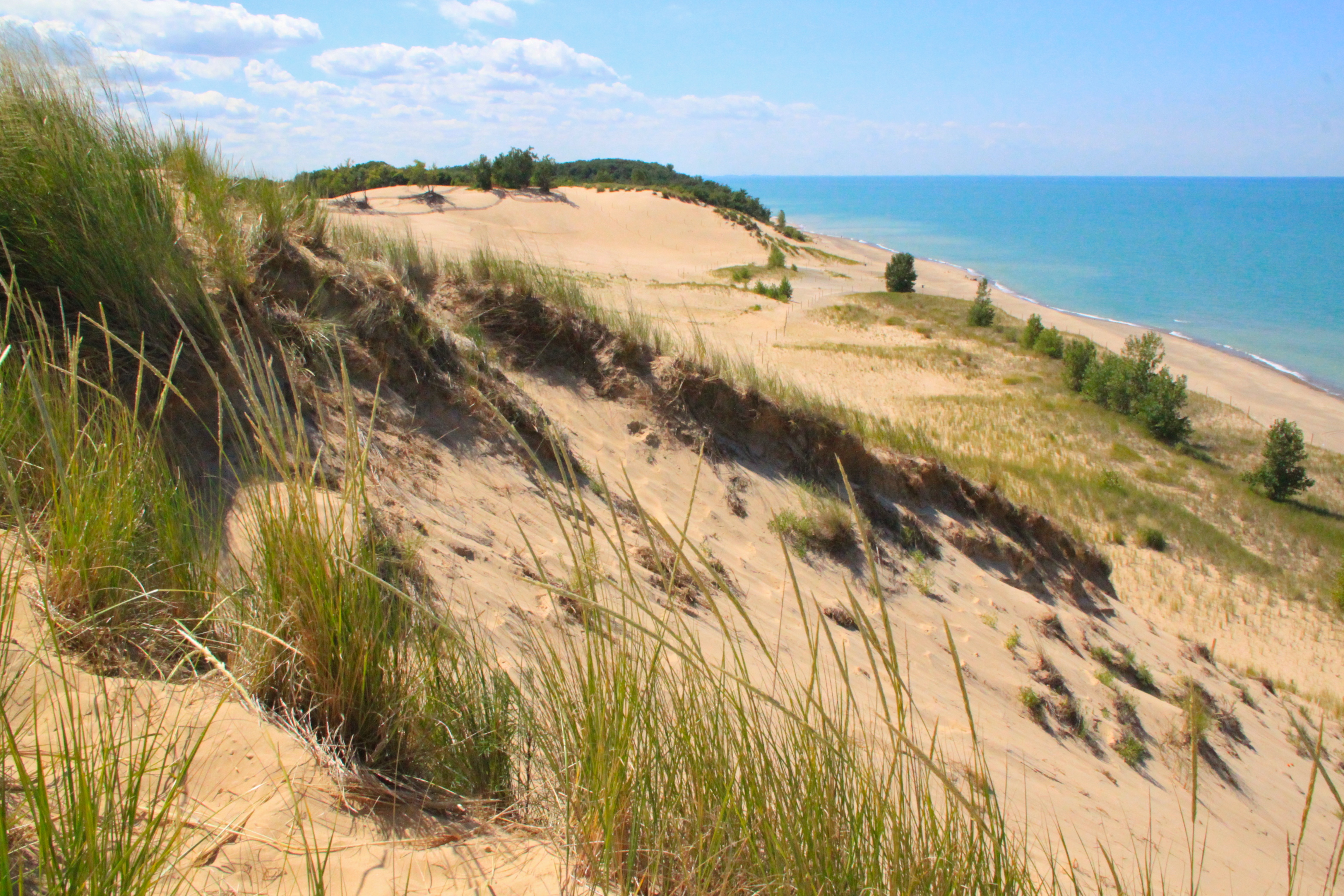 Indiana Dunes Tourism_Indiana Dunes 22970.jpg