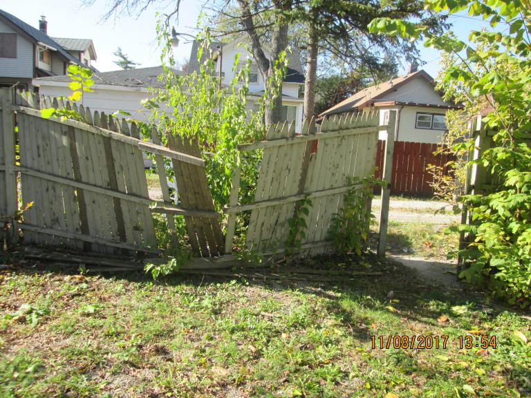 Maywood-IL-Overgrown-Shrub-and-Damaged-Fence.jpg