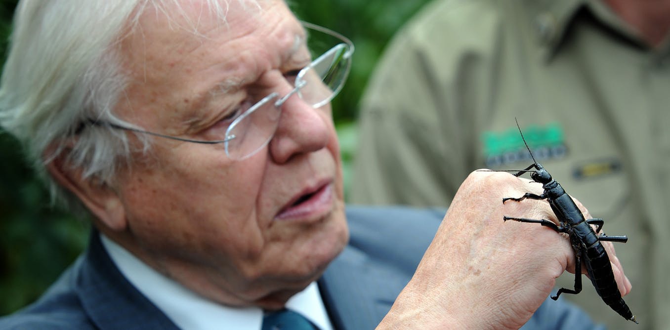 attenborough1.jpg