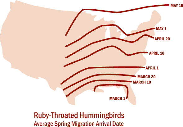 august-hummingbird-migration-map.gif