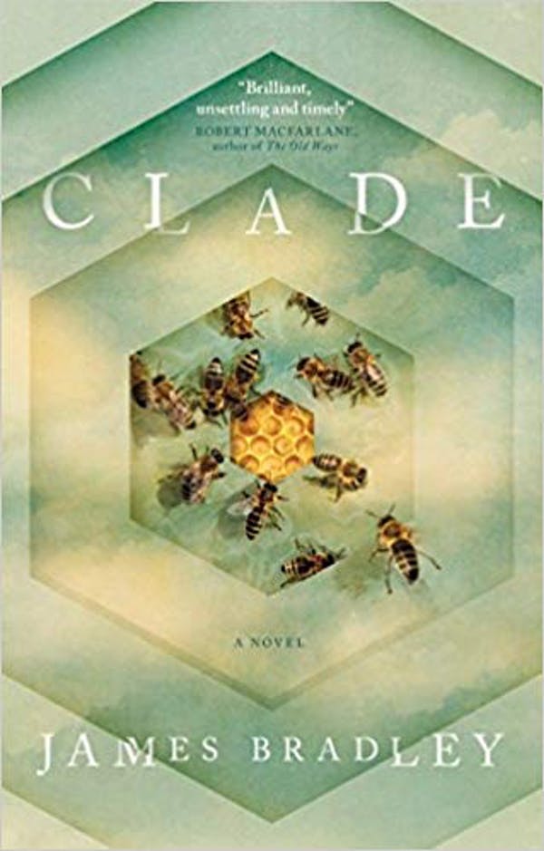 clade.jpg