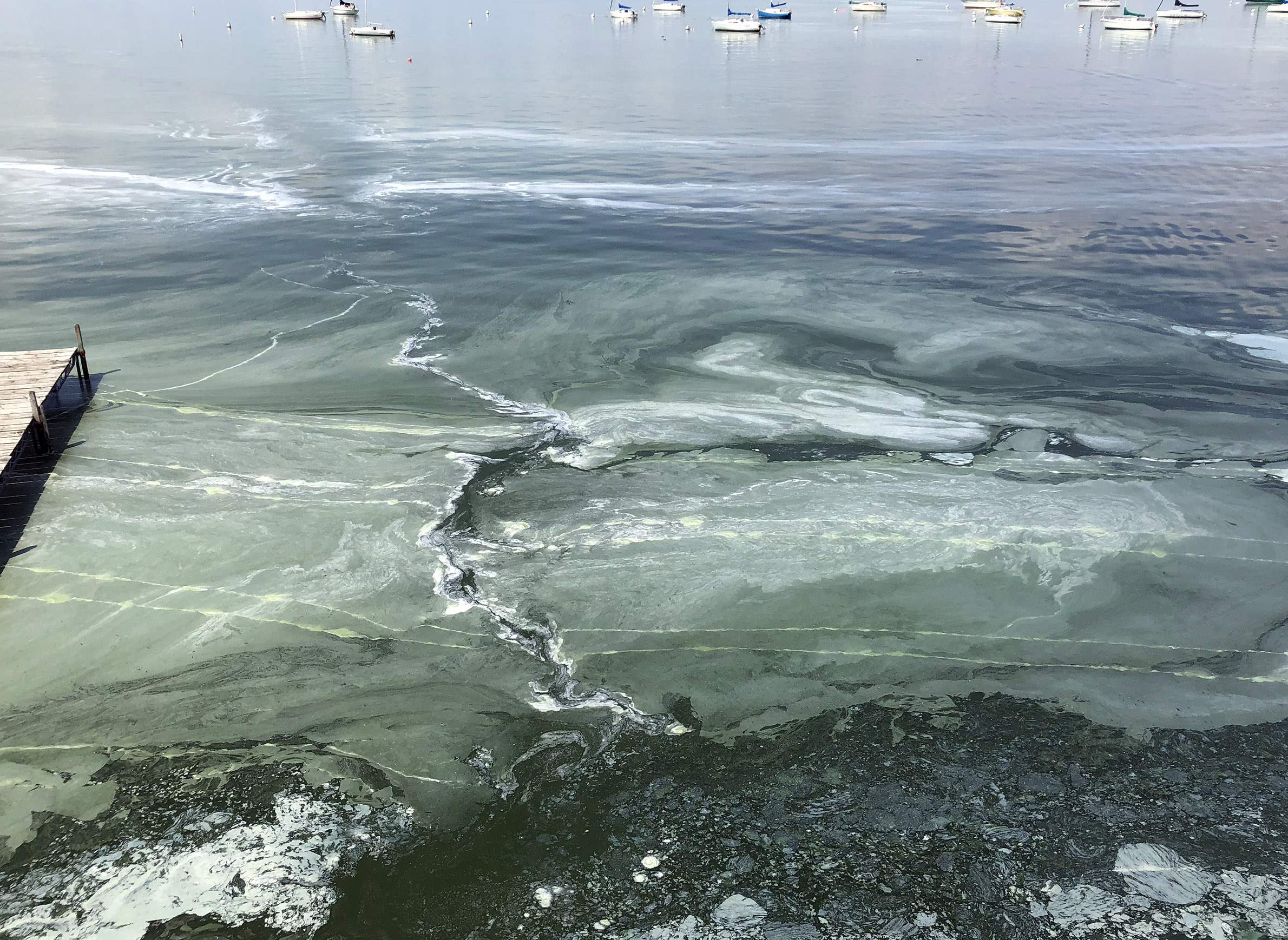 science-environment-lakes-sediments-phosphorus-algae-lakemendota.jpg