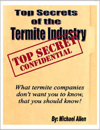 termite2.jpg